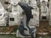 石雕海豚